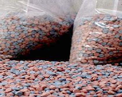 APRESAN AEROPUERTO PUERTO PLATA CANADIENSE TRAJO 10 MIL PASTILLAS ÉXTASIS