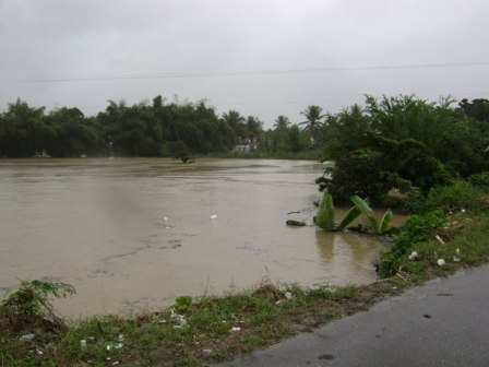 LLUVIAS PROVOCAN DAÑOS AGRICULTURA Y LA GANADERÍA ZONA PUERTO PLATA