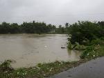 LLUVIAS PROVOCAN DAÑOS AGRICULTURA Y LA GANADERÍA ZONA PUERTO PLATA