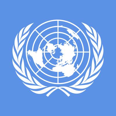 EXPERTOS ONU PRESENTARAN INFORME CEMENTERA