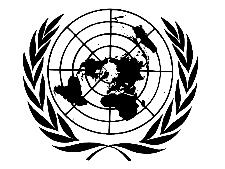 LA ONU PRESENTARÁ RESULTADO PROCESO EVALUACIÓN CEMENTERA