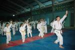 CELEBRAN SEMINARIO TÉCNICA AVANZADA DISCIPLINA KARATE