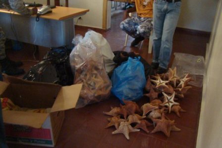 DECOMISAN PRODUCTOS ARTESANÍA ELABORADOS CONCHAS CAREY MARINOS