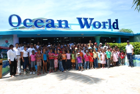 NIÑOS CAMPAMENTO VERANO POLITUR VISITAN OCEAN WORLD