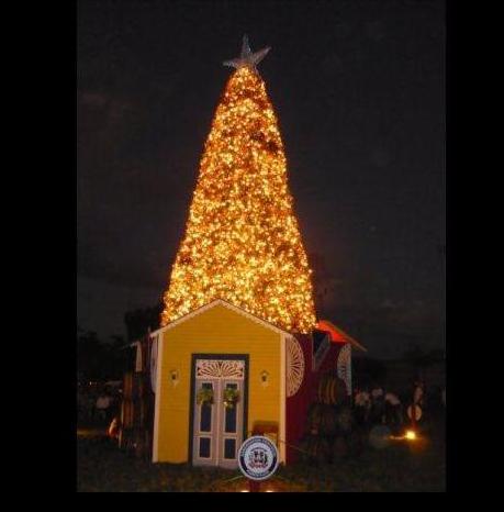 ENCENDERÁN ESTE DOMINGO GIGANTESCO ÁRBOL NAVIDEÑO ROTONDA ESTADIO JOSÉ BRICEÑO