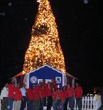 FESTIVAL FUEGOS ARTIFICIALES PRECEDE ENCENDIDO ÁRBOL NAVIDEÑO ENTRADA PUERTO PLATA