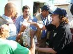 REALIZAN REPARTOS RACIONES ALIMENTOS SECTORES PUERTO PLATA