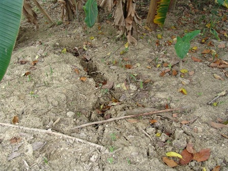 GEÓLOGO  DESCARTA FAMILIAS CORRAN PELIGRO DERRUMBES AFECTAN LOMA ISABEL DE TORRES