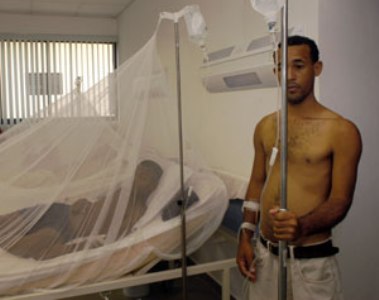 MINISTERIO SALUD PÚBLICA ADVIERTE POBLACIÓN PROPAGACIÓN  ENFERMEDAD LEPTOSPIROSIS