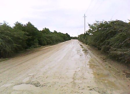 CAMINOS VECINALES  PUERTO PLATA ESTÁN DESTRUIDOS; PRODUCTORES AGRÍCOLAS DEMANDAN REPARACIÓN