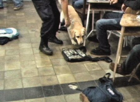 PERROS DELATAN DUEÑOS VENDÍAN DROGAS