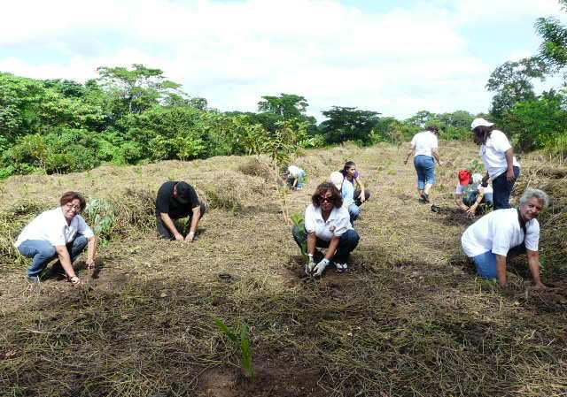 SECRETARIAS, ASISTENTES EJECUTIVAS INTEGRADAS LABORES DE REFORESTACIÓN