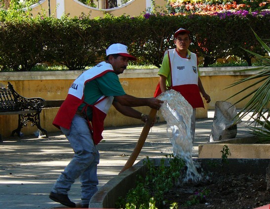 BRIGADAS OBREROS INICIAN LIMPIEZA, SANEAMIENTO PARQUE NAVIEROS