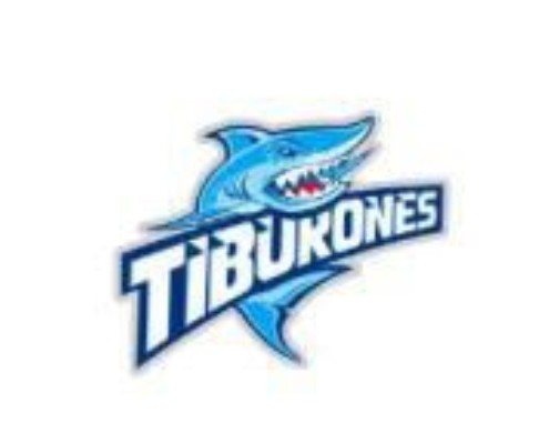 ABOGADO MUSA LLAMA PUERTOPLATEÑOS DEFENDER FRANQUICIA TIBURONES PUERTO PLATA