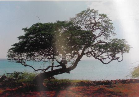 ABREN EXPOSICIÓN FOTOGRÁFICA PROMOCIONA PARQUE HISPANIOLA VILLA ISABELA