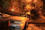 TORMENTA AFECTA CIUDAD QUEENS; FENÓMENO DERRIBA ÁRBOLES, LÍNEAS ELÉCTRICAS, DESTECHA VIVIENDAS
