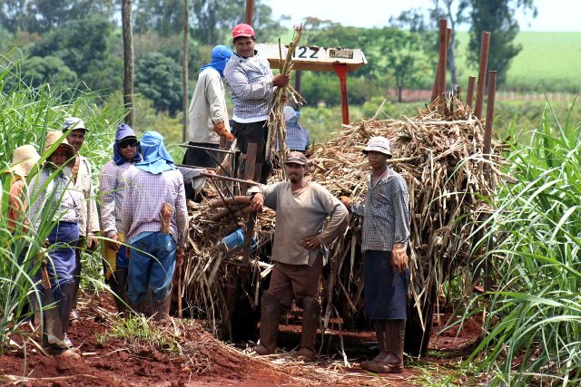 GRUPOS CAMPESINOS GESTIONAN GOBIERNO DONE TERRENOS PARA TRABAJAR