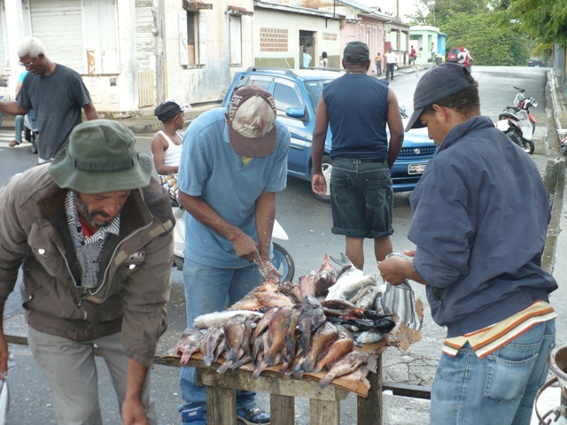 CRISIS ECONÓMICA PROVOCA BAJA VENTAS PESCADOS, MARISCOS EN PUERTO PLATA