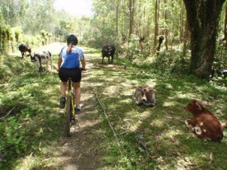 RUTA PARA RECORDAR: “ENTRENANDO PARA LA VUELTA”