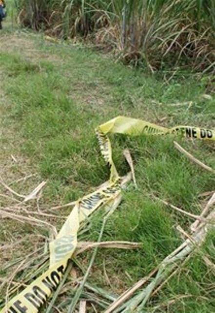 ENCUENTRAN CADÁVER DESCONOCIDO QUEMADO CAÑAVERAL CERRADO INGENIO MONTELLANO