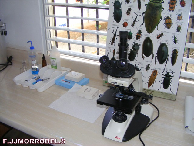MINISTERIO AGRICULTURA APERTURA MODERNO LABORATORIO VETERINARIO