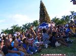 APAGAN ÁRBOL NAVIDEÑO EN ROTONDA PUERTO PLATA