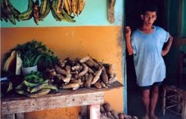 BAJA VENTA PRODUCTOS AGRÍCOLAS MERCADO PUERTO PLATA