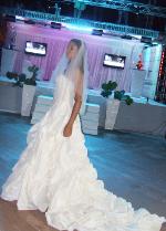 CELEBRAN FERIA BODAS, EVENTOS OCEAN WORLD 