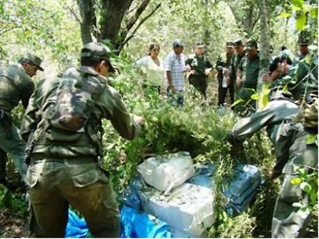 LUCHA CONTROL DE DROGAS