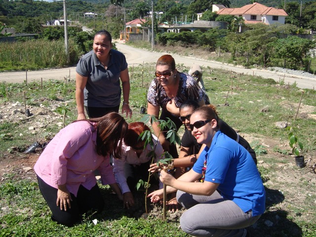 REFORESTAN, PLANTAN ÁRBOLES BOSQUE LA MUJER RESIDENCIAL EL DORAL