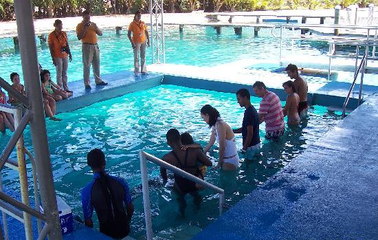 INICIAN FESTEJOS ANIVERSARIO FUNDACIÓN EN PUERTO PLATA PARQUE TEMÁTICO OCEAN WORLD