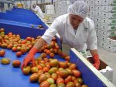 ANALIZARÁN IMPACTO DR-CAFTA SECTOR AGROPECUARIO NACIONAL