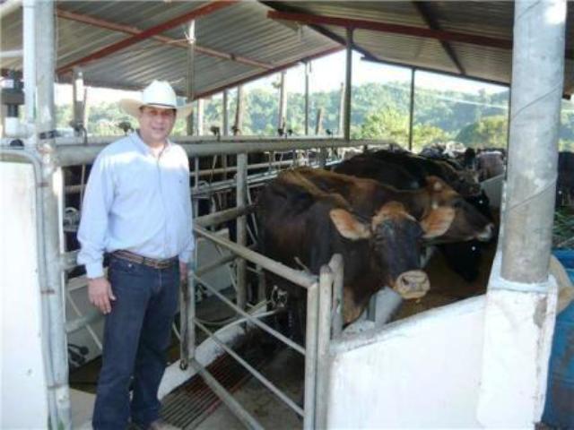 GANADEROS COSTA NORTE IMPORTARÁN VACAS LECHERAS DESDE MÉXICO