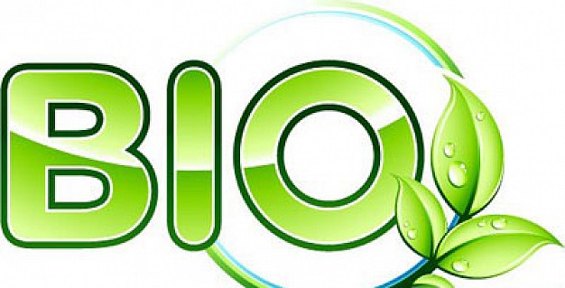 UN DESAFÍO ECOLÓGICO