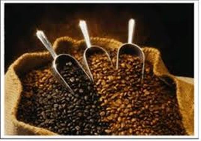 RESALTAN VENTAJAS PRODUCTOR CAFETALERO ORGÁNICO