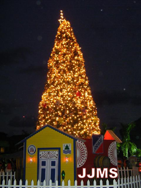 GOBERNACIÓN, EMPRESA BRUGAL ENCIENDEN ÁRBOL NAVIDEÑO