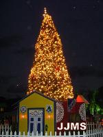 GOBERNACIÓN, EMPRESA BRUGAL ENCIENDEN ÁRBOL NAVIDEÑO
