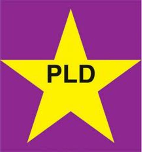 PLD EMPADRONARÁ NUEVOS VOTANTES NEW YORK