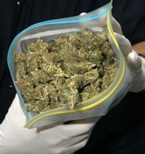 EJÉRCITO, DNCD OCUPAN MARIHUANA FRONTERA DAJABÓN