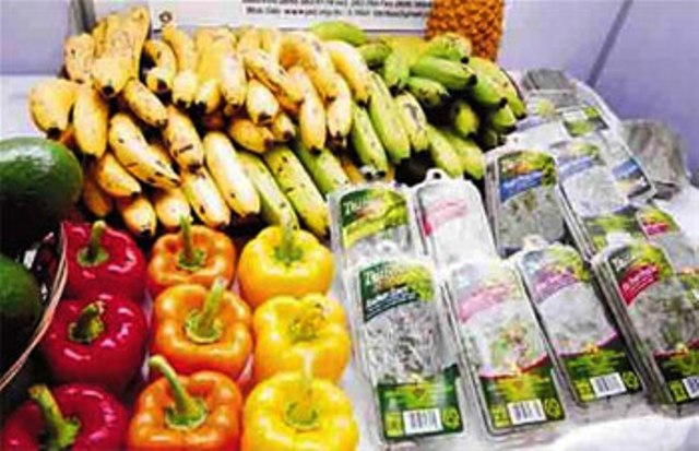 INDUSTRIA TURÍSTICA CONSUME PRODUCTOS AGROPECUARIOS 21 MIL MILLONES