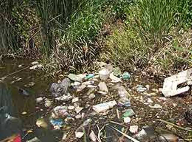 CAÑADA CONSTITUYE FOCO CONTAMINACIÓN  