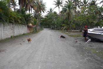 FAMILIAS RECHAZAN ELIMINEN CALLE ACCESO COMUNIDAD DON GREGORIO, MAIMÓN