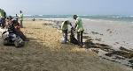 BRIGADAS MEDIO AMBIENTE RECOLECTAN MILES FUNDAS DESPERDICIOS PLAYAS, BALNEARIOS