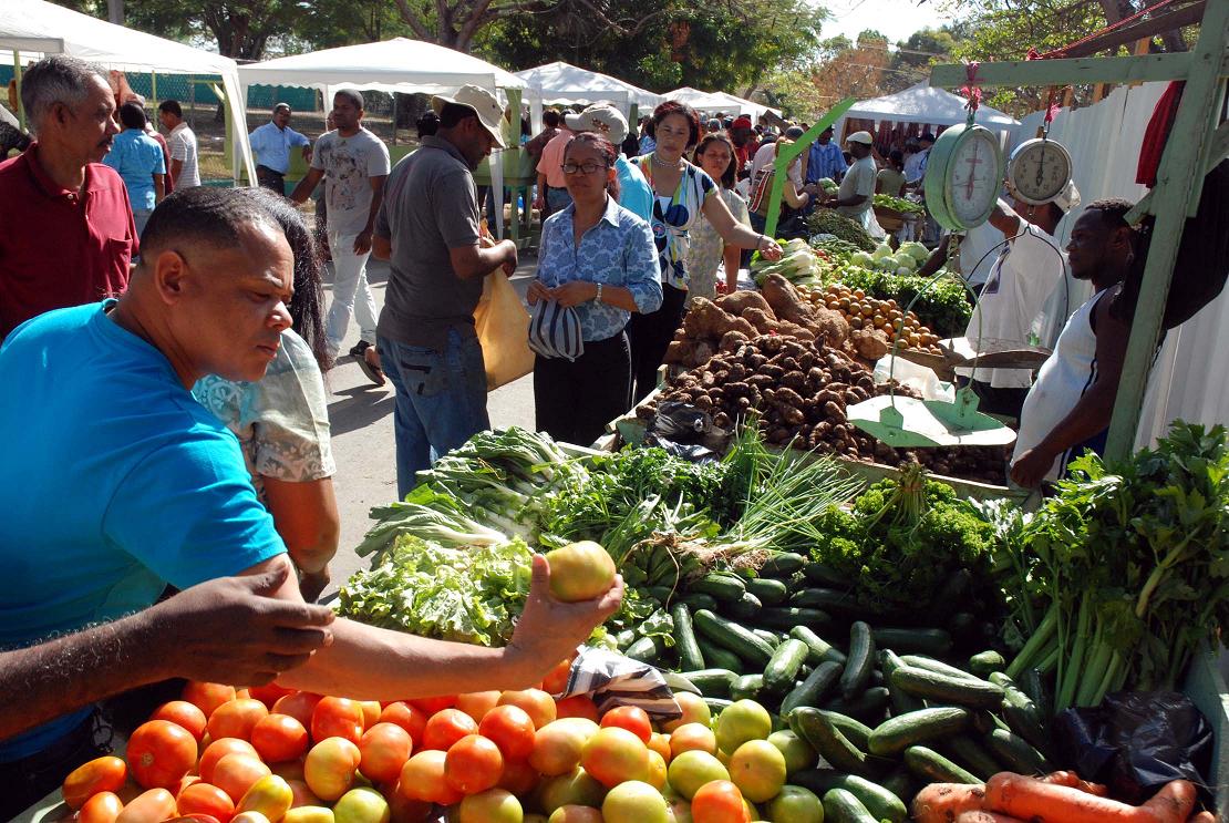 Revelan aumentan precios productos  consumo básico