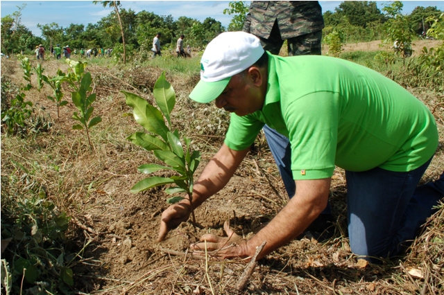Ministro medio ambiente inicia  jornada reforestación 
