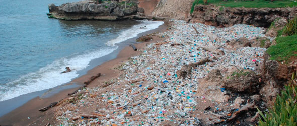 Esperan incorporar  25 mil voluntarios para limpiar  costas