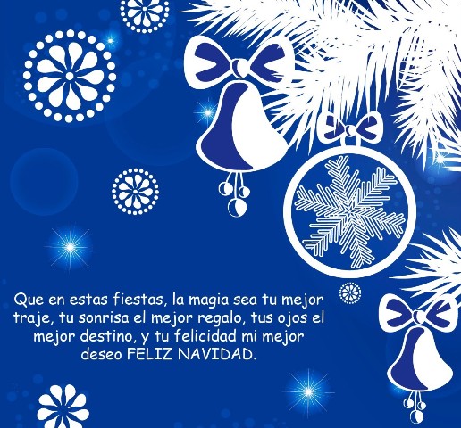 Feliz navidad !
