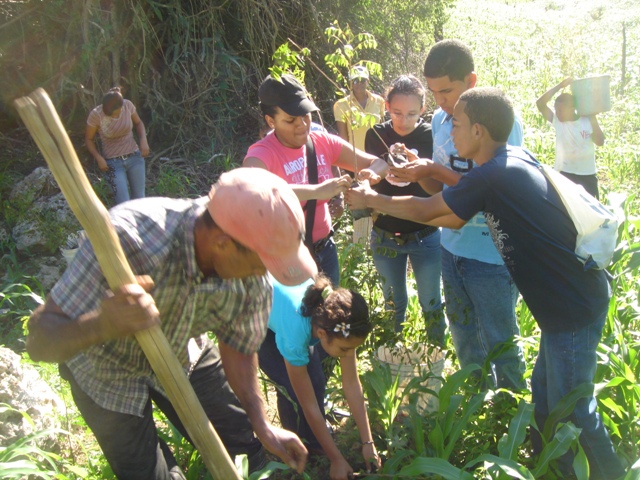 AUTORIDADES PROPICIAN NUEVA JORNADA SIEMBRA ÁRBOLES  EN LUPERÒN