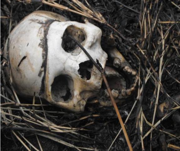 HALLAN OSAMENTAS HUMANAS VILLA ISABELA