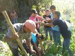 AUTORIDADES PROPICIAN NUEVA JORNADA SIEMBRA ÁRBOLES  EN LUPERÒN